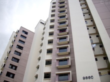 Blk 986C Jurong West Street 93 (Jurong West), HDB 5 Rooms #438232